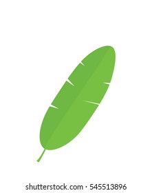 Banana Leaf isolated on white background