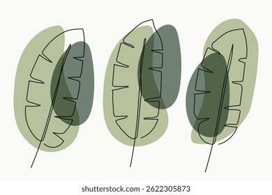 Banana Leaf Line Art with Green Contemporary Design Collection.Vector illustration