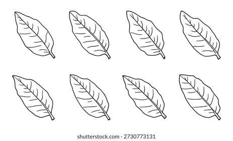 Diseño simple y elegante de la línea de la hoja del plátano para los amantes de la naturaleza
