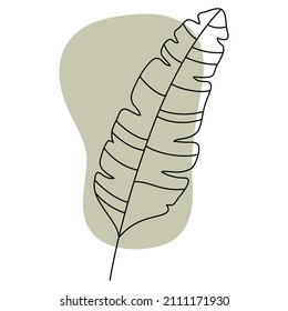 Banana leaf in line art style. Minimal tropical leaves, boho jungle leaf outline. Palm leaves hand drawn vector. Botanical design element and abstract shape
