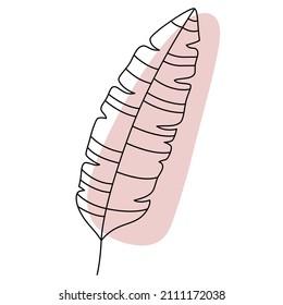 Banana leaf in line art style. Minimal tropical leaves, boho jungle leaf outline. Palm leaves hand drawn vector. Botanical design element and abstract shape