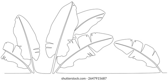 banana leaf line art vector design