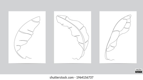 Banana leaf  line continueous drawing vector. One line drawing art design. Abstract home decor printing such as posters, wall art, tote bag or t-shirt print. Model and Minimalism printing.
