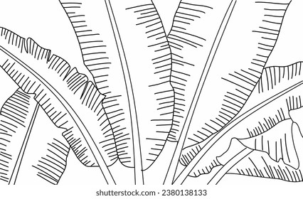 banana leaf lineart, for children's drawings