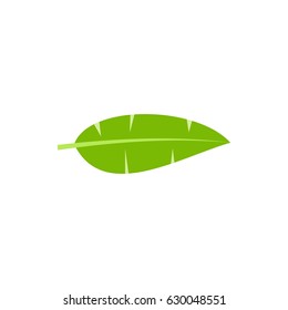 Banana leaf logo