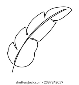Banana leaf one line drawing. Vector illustration isolated. Minimalist design handdrawn.