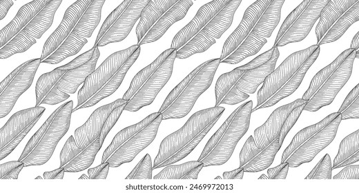 Patrón de hoja de plátano ilustración en blanco y negro