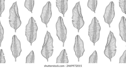 Bananenblattmuster schwarz und weiß Illustration