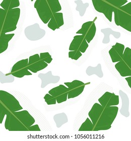 Banana leaf pattern illustration