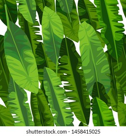 Banana leaf seamless pattern. Abstract exotic plant wallpaper on white background. Tropical pattern, palm leaves seamless vector floral illustration