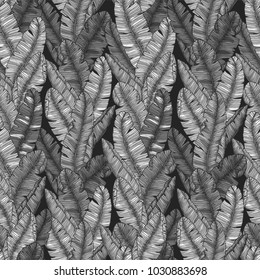 Banana leaf seamless pattern. Monochromatic minimalist exotic background. Vector illustration