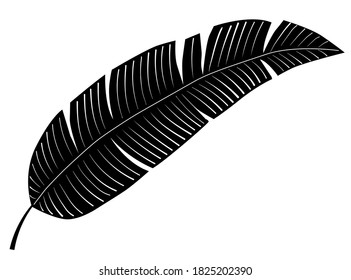 Banana leaf silhouette isolated on white background. Palm tree leaf black sihouette vector illustration. Tropical jungle greenery monochrome design illustration.