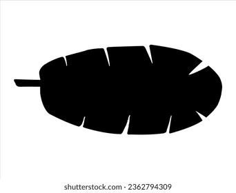 Banana leaf silhouette vector art