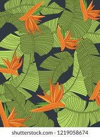 Banana leaf template vector illustration