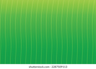 Banana Leaf Texture Background Vector Illustration