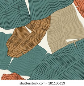 banana leaf texture green vector
