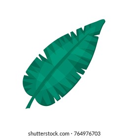 Banana leaf, tropical palm leaf vector Illustration