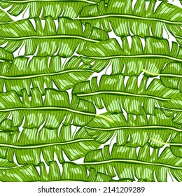 Banana leaf tropical seamless pattern. Jungle leaves background. Rainforest wallpaper. Repeated hand drawn exotic design texture for printing, fabric, wrapping, fashion, interior, wallpaper, tissue.