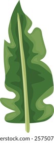 Banana leaf. Vector clipart, illustration with isolated background.