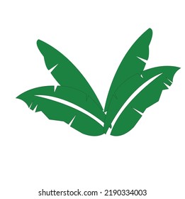 Banana leaf vector icon eps 10