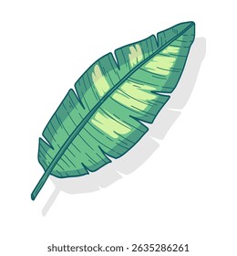 A banana leaf vector illustration