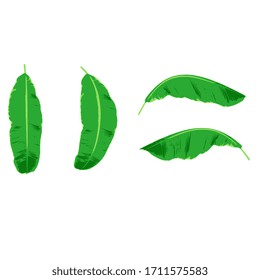 Bananenblatt-Vektorillustration, Hintergrund