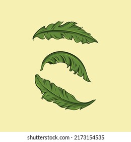Icono de ilustración vectorial de hoja de plátano