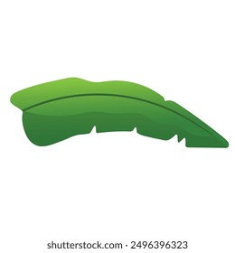 Banana leaf vector illustration, isolated on white background, tropical plant leaves clip art