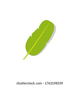 Banana leaf vector isolated on transparent background.