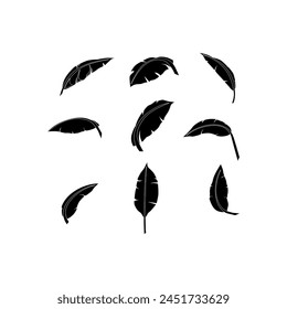 Vector de hoja de plátano aislado sobre fondo blanco.