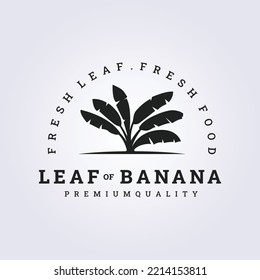 banana leaf vector logo illustration design