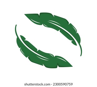 hoja de plátano en vectores