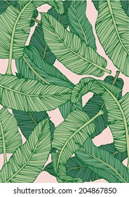 banana leaf vector/illustration