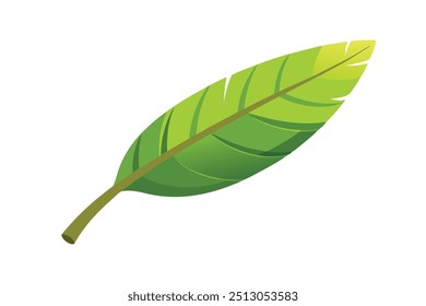 
Plátano deja Ilustración vectorial plana aislada sobre fondo blanco