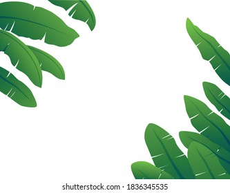 Banana leaves are beautifully arranged and arrange