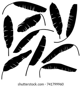 banana leaves black isolated on white background