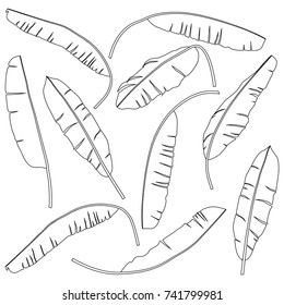 banana leaves black and white contour isolated on white background
