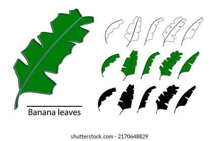 Banana leaves bundle, vector isolated on white