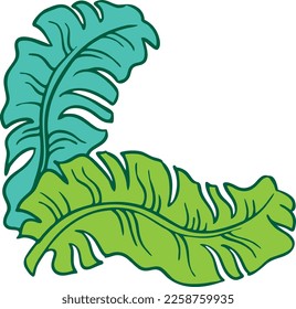 Banana leaves decorative vector elements for banner design, greeting card, holiday poster. Hand drawn illustration, botanical summer vacation theme. Nature ecological, romantic garden. relaxing spa.