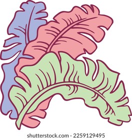 Banana leaves decorative vector elements for banner design, greeting card, holiday poster. Hand drawn illustration, botanical summer vacation theme. Nature ecological, romantic garden. relaxing spa.