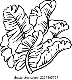 Banana leaves decorative vector elements for banner design, greeting card, holiday poster. Hand drawn illustration, botanical summer vacation theme. Nature ecological, romantic garden. relaxing spa.