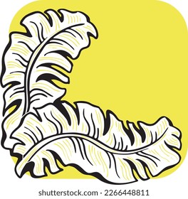 Banana leaves decorative vector elements for banner design, greeting card, holiday poster. Hand drawn illustration, botanical summer vacation theme. Nature ecological, romantic garden. relaxing spa.