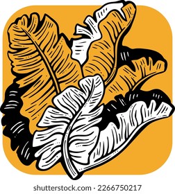 Banana leaves decorative vector elements for banner design, greeting card, holiday poster. Hand drawn illustration, botanical summer vacation theme. Nature ecological, romantic garden. relaxing spa.