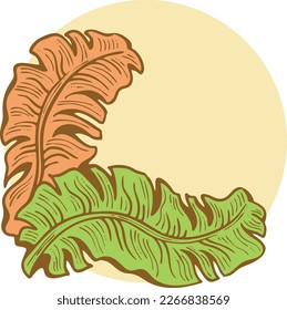 Banana leaves decorative vector elements for banner design, greeting card, holiday poster. Hand drawn illustration, botanical summer vacation theme. Nature ecological, romantic garden. relaxing spa.