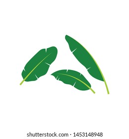 banana leaves element vector icon illustration design