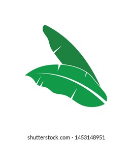 banana leaves element vector icon illustration design