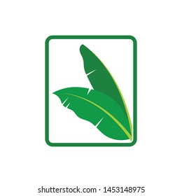 banana leaves element vector icon illustration design
