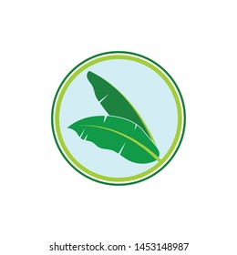 banana leaves element vector icon illustration design