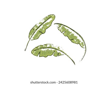 banana leaves fill color abstract in white background tropical leaves, identity style, decoration vector