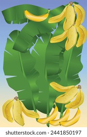 Banana y hojas de ilustración y fondo Vector
